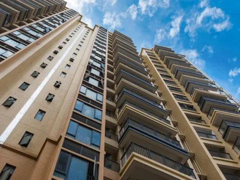 Sau nhiều ngày suy nghĩ, tôi đã bán căn hộ tầng 30 và quyết định chuyển xuống tầng 3, cuối cùng cũng cảm thấy nhẹ nhõm