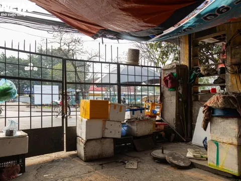 Cảnh ngổn ngang, tan hoang trong chợ Mai Động chờ ngày bị 'khai tử'