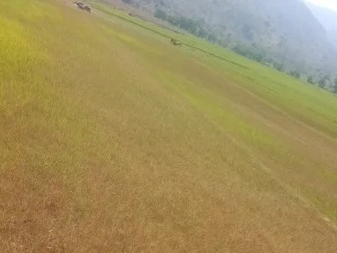 Đắk Lắk: Nỗ lực ứng phó với khô hạn