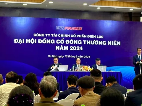 EVNFinance muốn nâng vốn điều lệ vượt 7.680 tỷ đồng