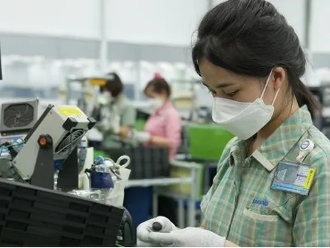 Áp dụng thuế tối thiểu toàn cầu: Làm thế nào để giữ chân các doanh nghiệp FDI?