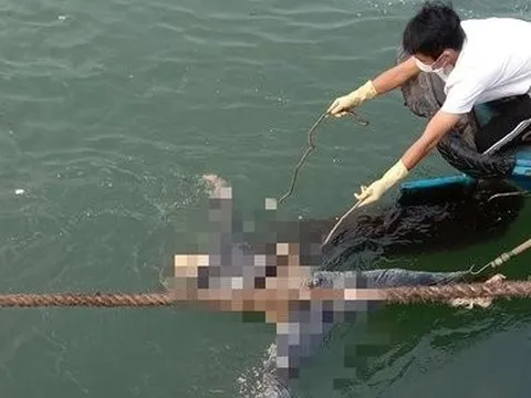 Quảng Bình: Phát hiện thi thể nam giới đang phân hủy trôi trên biển