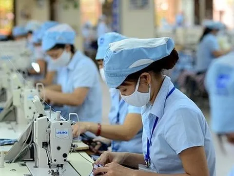 Giảm sức cạnh tranh nếu đánh thuế VAT hàng Việt xuất khẩu?