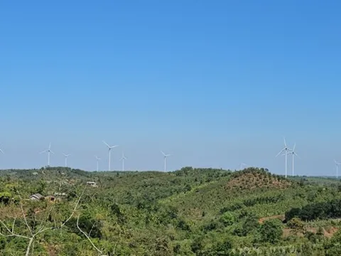 Đắk Nông giải trình loạt dự án điện gió bị Thanh tra Chính phủ ‘tuýt còi’
