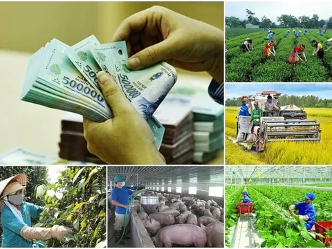 Tiến độ giải ngân vốn thực hiện các chương trình mục tiêu quốc gia chuyển biến tích cực