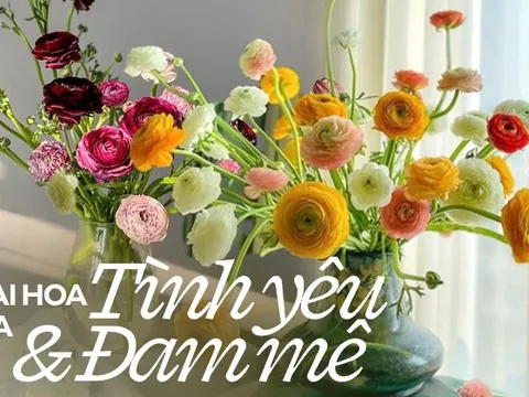 Hoa mao lương đã vào mua giá lại còn siêu rẻ: Học ngay cách cắm đơn giản vừa đẹp vừa làm sáng bừng không gian