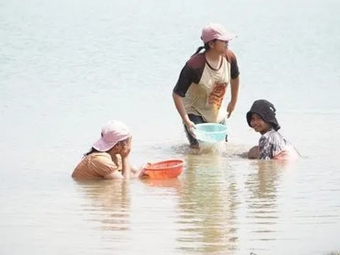 Mùa hến về trên Tây Nguyên