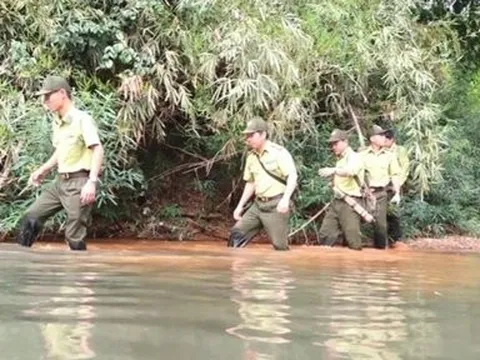 Đồng Nai: Cảnh báo cháy rừng cấp độ 5