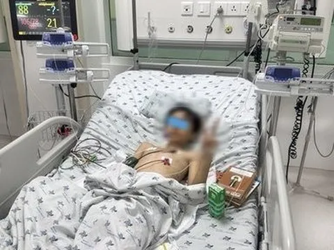 Phụ bố lùa bò về, bé trai bị đàn bò giẫm đạp phải nhập viện