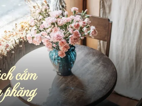 Hoa phăng vào mùa, giá "siêu" rẻ nhưng bạn nhất định phải biết quy tắc này khi cắm