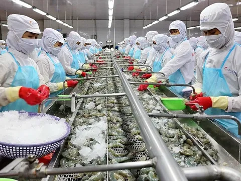 Xuất khẩu tôm Việt Nam tăng trưởng 3 chữ số tại thị trường Trung Quốc