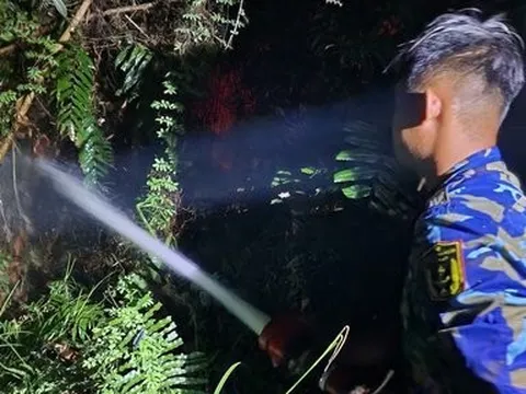 Cán bộ, chiến sĩ Vùng 5 Hải quân kịp thời dập tắt đám cháy giúp dân