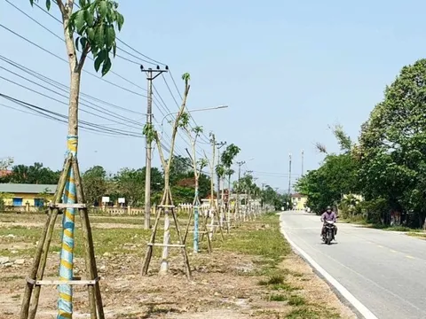 Thừa Thiên-Huế tổng hợp các dự án cây xanh theo yêu cầu của Bộ Công an