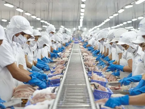 Vĩnh Hoàn: 5 năm liên tiếp trả cổ tức giá 2.000 đồng/cổ phần