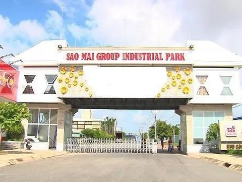 Cổ phiếu của Sao Mai tăng trần ngay sau thông báo trả cổ tức
