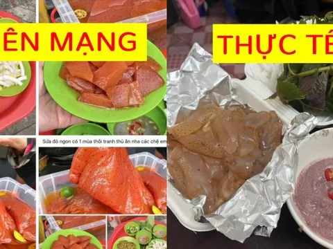 Sứa đỏ bị chê "ăn như thạch chấm mắm tôm": Hương vị thật sự thế nào và tại sao lại hot đến vậy?