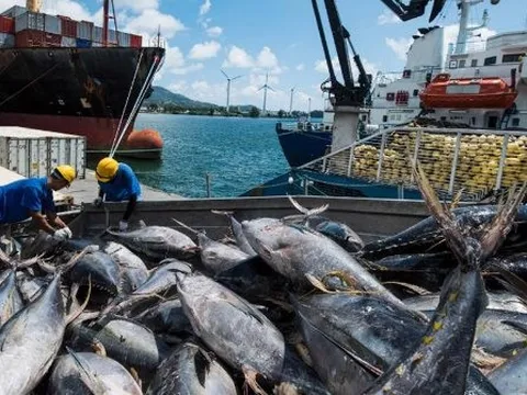 80 quốc gia cùng ‘chốt đơn’ một mặt hàng của Việt Nam: Thu hơn 100 triệu USD trong 2 tháng, là bảo bối tỷ đô mới nổi của nước ta