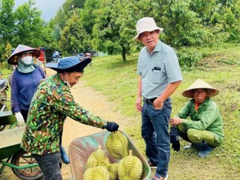 Vừa thay bộ nhận diện, loạt chỉ số của HAGL sụt giảm sau kiểm toán