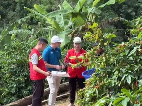 4 mặt hàng nông lâm, thủy sản xuất khẩu trên 1 tỷ USD trong Quý I