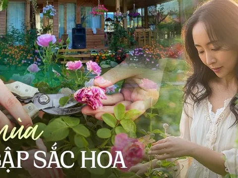 Mất 3 năm hoàn thiện được khu vườn nhỏ 18m2 trở thành "biển hoa" nhưng thành quả khiến ai cũng phải trầm trồ ngợi khen