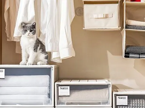 5 món đồ bị xem thường vì rẻ tiền và vô dụng, nhưng không có chúng thì nhà bớt đi sự tiện lợi