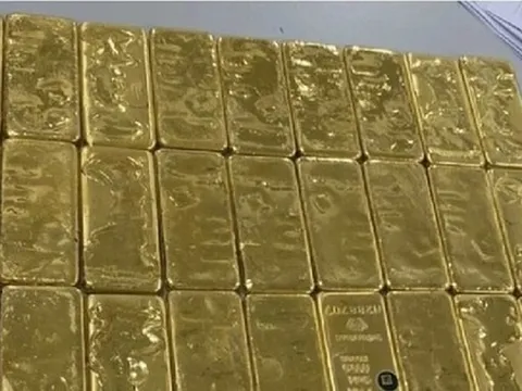 Truy tố 24 bị can trong đường dây buôn lậu hơn 6 tấn vàng