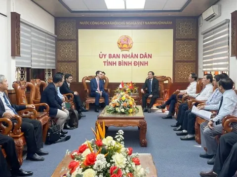 "Hội tụ" về Bình Định, đoàn tỷ phú thế giới khảo sát, đầu tư gì?