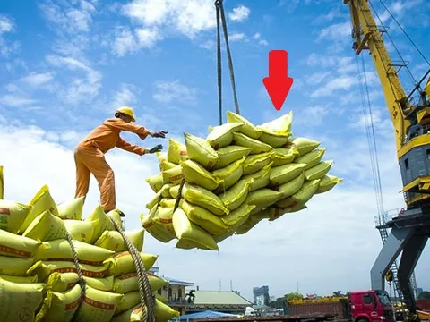 Chỉ trong 3 tháng, mặt hàng "rạng danh thế giới" của VN thu về gần 1,4 tỷ USD, hàng loạt quốc gia tìm mua
