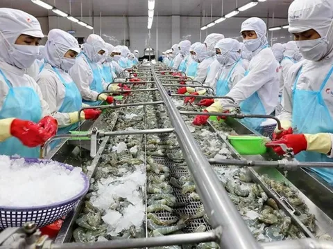 Xuất khẩu thuỷ sản đạt gần 2 tỷ USD trong quý I