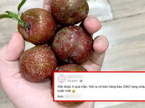 40k chỉ mua được 5 quả mận: Người ngậm ngùi "chịu trận" vì mận đầu mùa, người than thở vì giá trên trời
