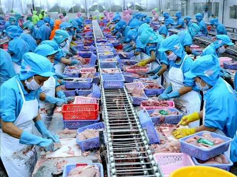 Xuất khẩu thủy sản quý I/2024 đạt gần 2 tỷ USD