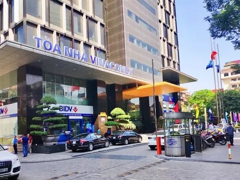 Vinaconex đạt lợi nhuận trước thuế 555 tỷ đồng, cải thiện nhiều chỉ tiêu tài chính