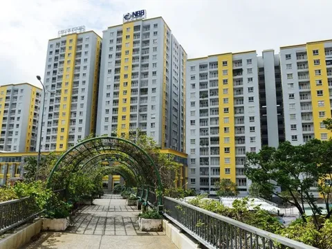 Năm Bảy Bảy lý giải việc lợi nhuận chỉ còn hơn 1 tỷ đồng sau kiểm toán