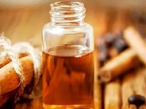 Hàng trăm tấn tinh dầu quế tồn kho vì "tắc đường" xuất khẩu