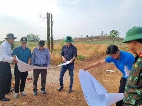 Đắk Lắk: Sắp cưỡng chế thu hồi hơn 700ha đất rừng bị lấn chiếm