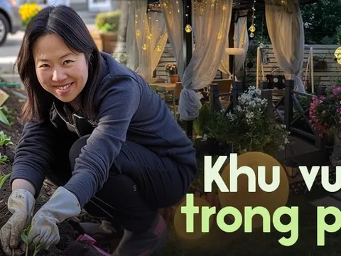 Chẳng cần về quê, cô gái mua một mảnh đất rộng 60m2 chỉ để trồng rau sạch, hoa tươi ngay giữa thành phố