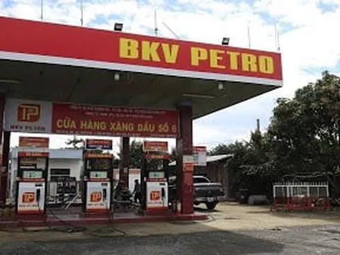 Thêm 'ông trùm' xăng dầu bị dừng thủ tục xuất nhập khẩu