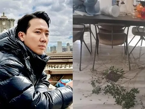 Trấn Thành hốt hoảng vì nhà riêng bị tàn phá, hỏng nội thất sau 3 tuần sang Mỹ: Chuyện gì đây?