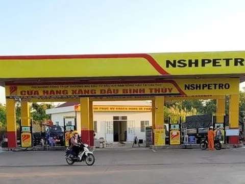 Dầu khí Nam Sông Hậu bị kiểm toán nghi ngờ khả năng hoạt động liên tục