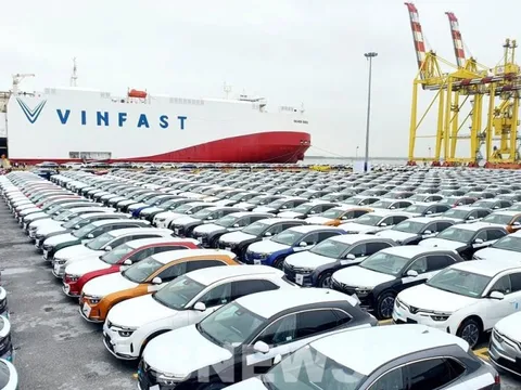 Vingroup chuẩn bị phát hành 8.000 tỷ trái phiếu để tái cơ cấu nợ