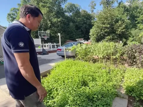 Hé lộ biệt thự rộng lớn tại Mỹ của một nghệ sĩ hài, trồng rau như ở Việt Nam, có cả cà pháo, tía tô