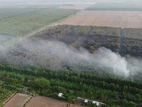 Cà Mau: Hoàn toàn khống chế vụ cháy 40ha rừng tràm