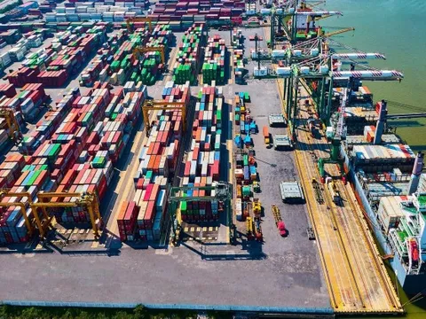 Một doanh nghiệp cảng biển báo lợi nhuận quý 1 đạt kỷ lục, tăng gấp đôi so với cùng kỳ