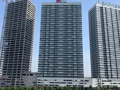 Lợi nhuận doanh nghiệp của Shark Việt lao dốc