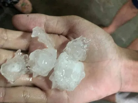 Hà Nội xuất hiện mưa đá, cây đổ đè hàng loạt xe máy trên phố cổ