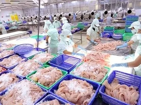 Phí vận chuyển ghi nhận tăng theo cấp số nhân tại một doanh nghiệp thủy sản