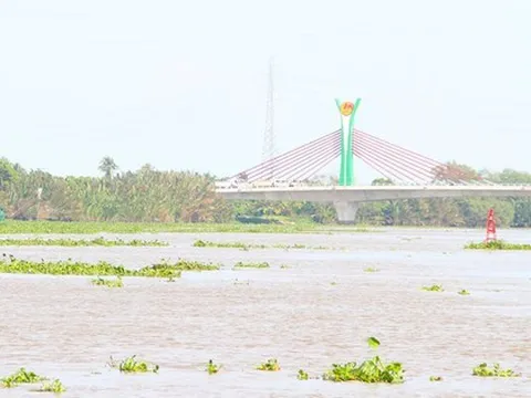 NÓNG: Xả hơn 7 triệu m³ nước hồ Dầu Tiếng về sông Vàm Cỏ Đông để đẩy mặn