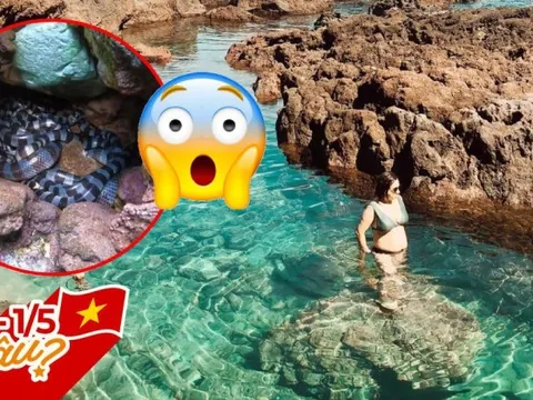 Bí kíp "mạnh khoẻ" khi đi Phú Quý: Cẩn thận với rắn độc, "sống ảo" cũng cần chú ý nhiều vấn đề