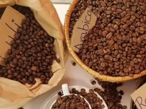 Vì sao giá cà phê tăng điên cuồng, cao nhất lịch sử?