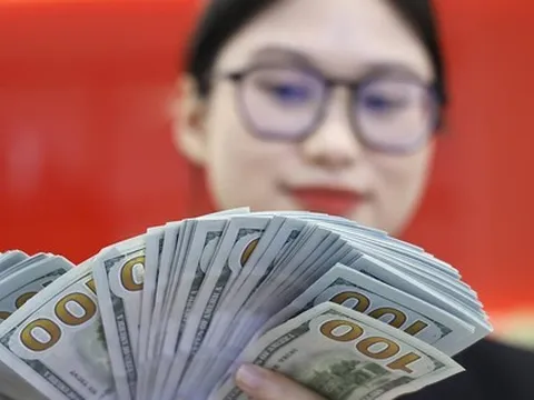 Giá USD tăng mạnh: Doanh nghiệp lao đao